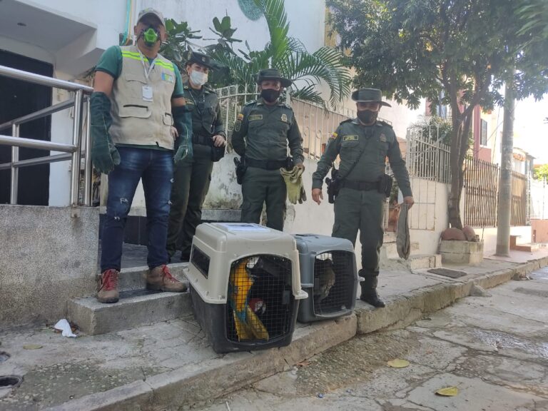 funcionarios en entrega voluntaria de aves