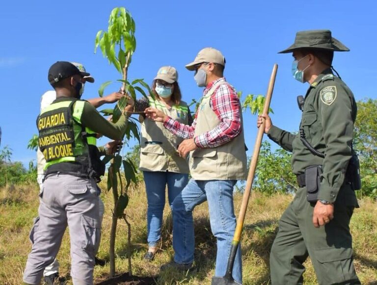 funcionarios sembrando planta