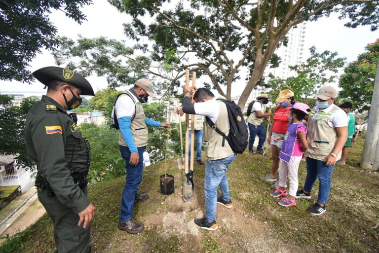 funcionarios en siembra masiva de árboles