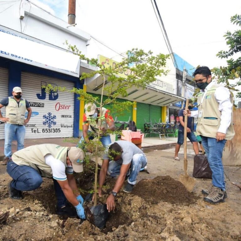 funcionarios del epa en siembra en árbol