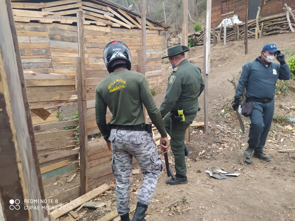 Extranjeros siguen intentando invadir zonas de reserva natural en el Cerro de La Popa