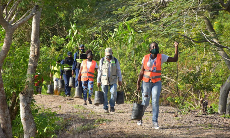 funcionarios y voluntarios trasladando plantas para siembra