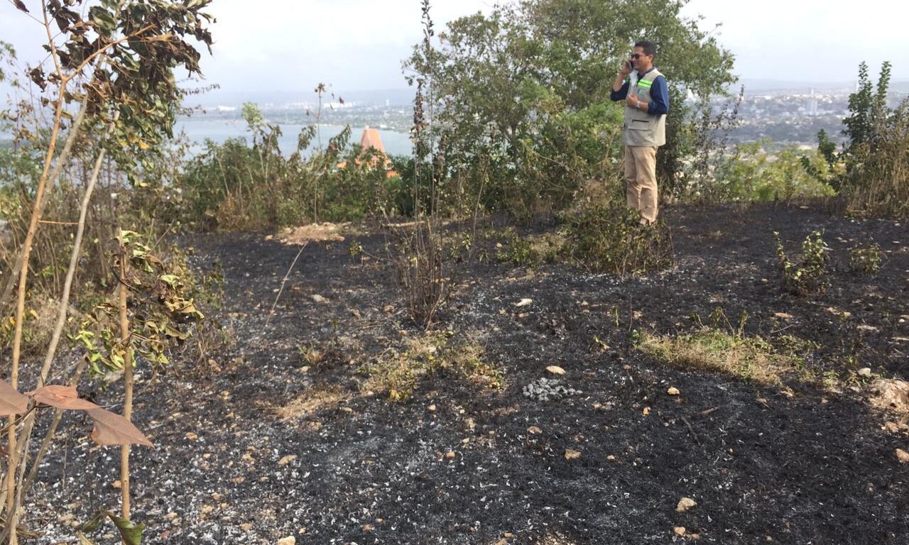 director del epa cartagena inspecciona quema de árboles nuevos en la popa