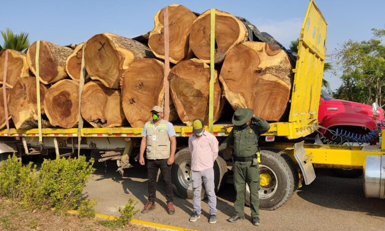 FUNCIONARIOS INCAUTAN MADERA TRASPORTADA DE MANERA ILEGAL