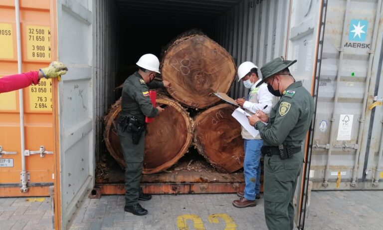 FUNCIONARIOS EN INCAUTACIÓN DE MADERA