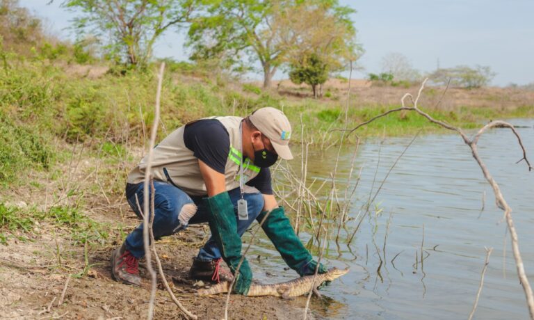 FUNCIONARIO EN LIBERACIÓN DE REPTIL