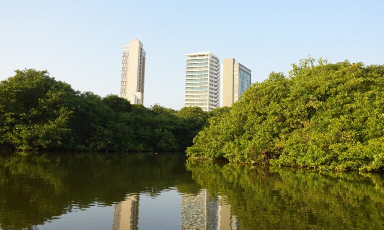 FOTOGRAFÍA CAÑO JUAN ANGOLA