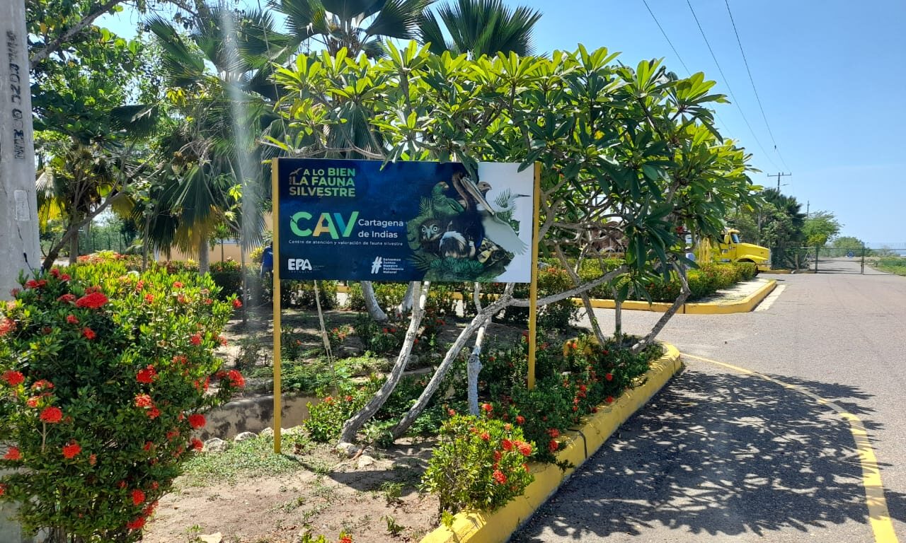 sede Centro de Atención y Valoración de Fauna Silvestre CAV, Cartagena
