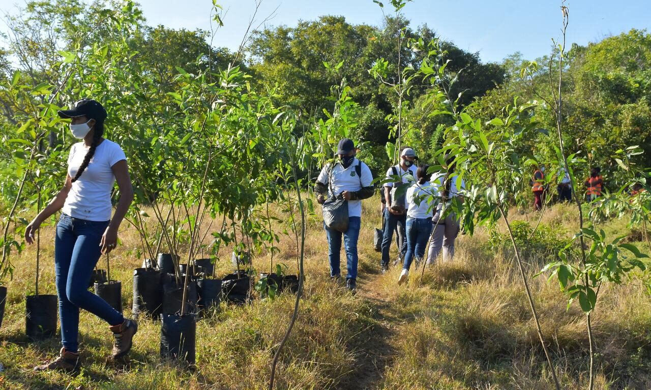 funcionarios, voluntarios y comunidad en siembra de árboles