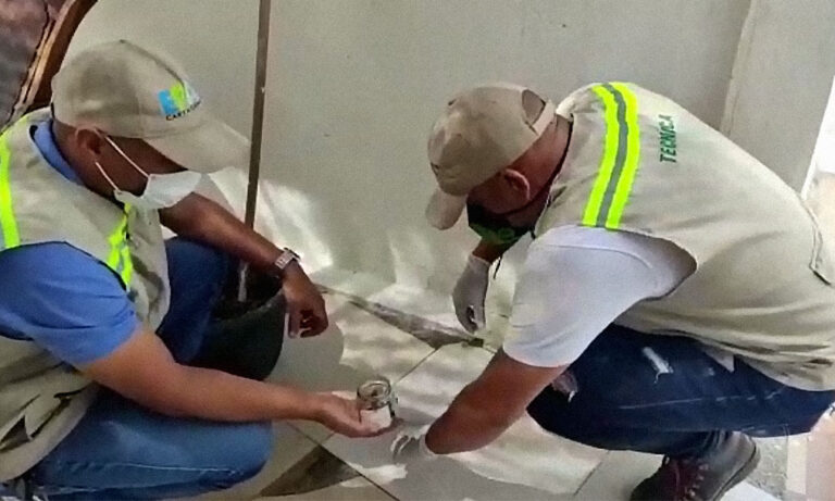 FUNCIONARIOS TOMANDO MUESTRAS DE HORMIGAS VOLADORAS