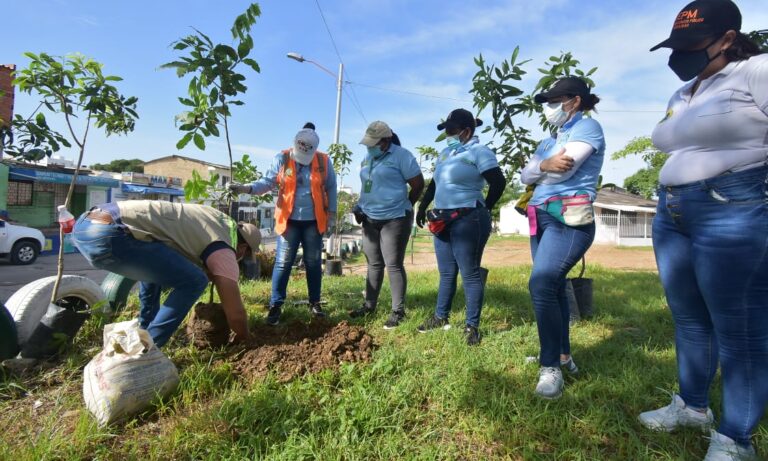 FUNCIONARIOS EN SIEMBRA DE PLANTAS