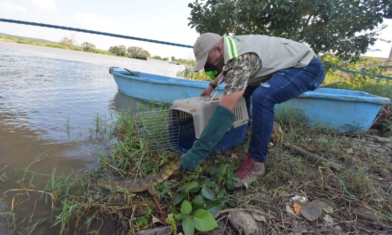 FUNCIONARIO EN LIBERACIÓN DE REPTIL