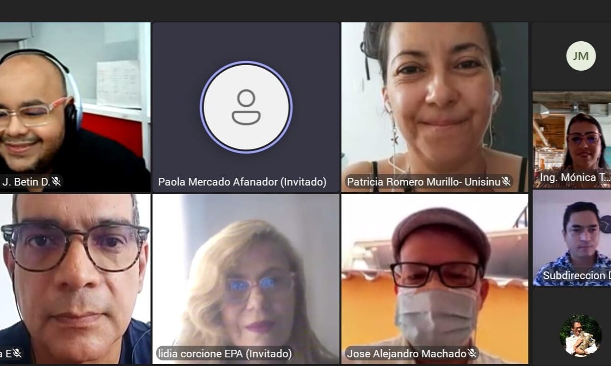 pantallazo de reunion virtual del comité académico de cambio climático