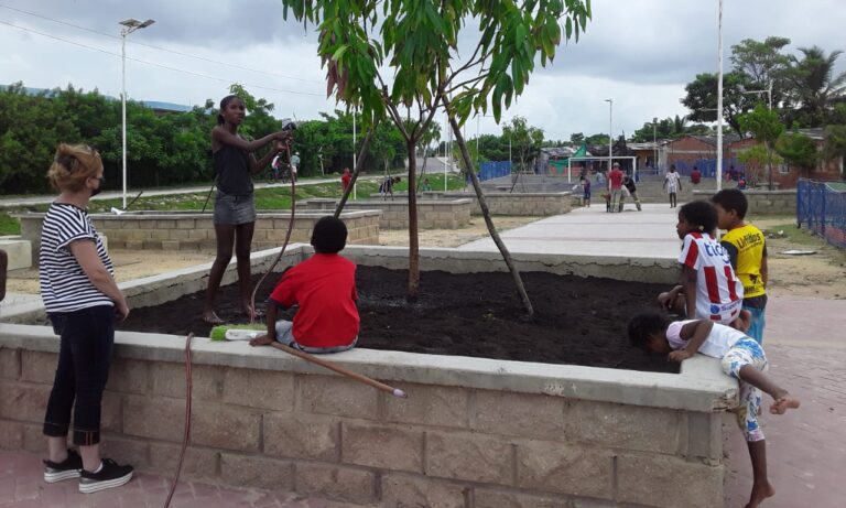 comunidad regando árbol