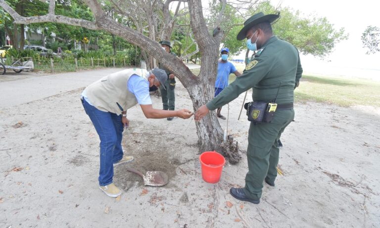 funcionarios en control y vigilancia sobre caso de envenenaniento de árboles en castillogrande