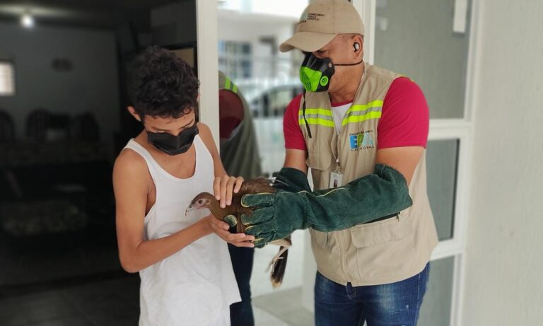 funcionario del epa recibiendo ave silvetre de manera voluntaria