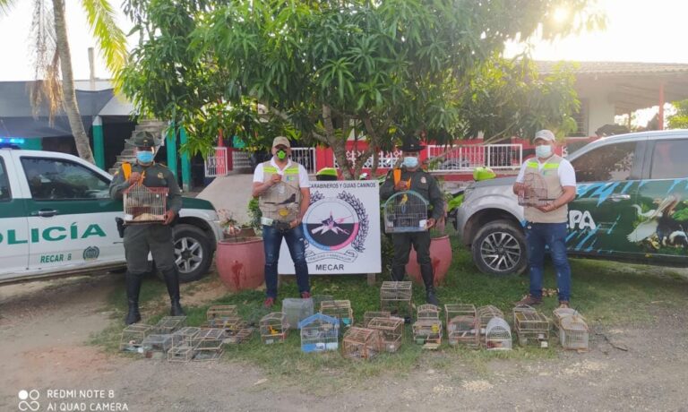 FUNCIONARIOS EN DECOMISO DE AVES SILVESTRE EN MERCADO DE BAZURTO