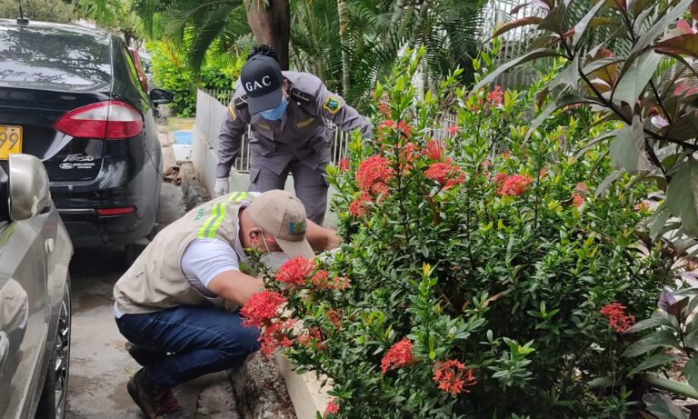 FUNCIONARIOS DE EPA CARTAGENA EJECUTA JORNADA DE OPERACIÓN MASIVA CONTRA CARACOL AFRICANO