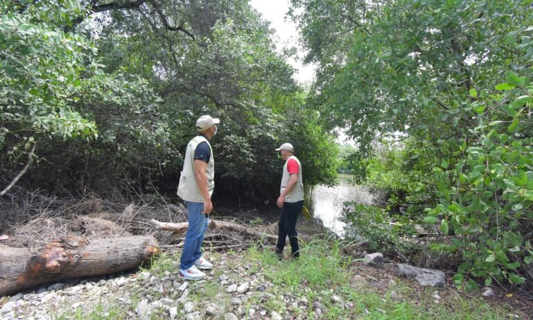 FUNCIONARIOS EN BUSCA DE MONO AULLADOR EN EL BARRIO MANGA