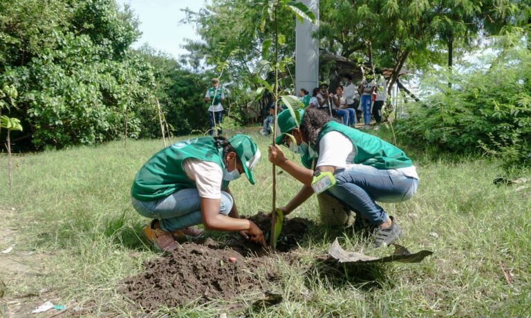 funcionarios en siembra masiva de árboles