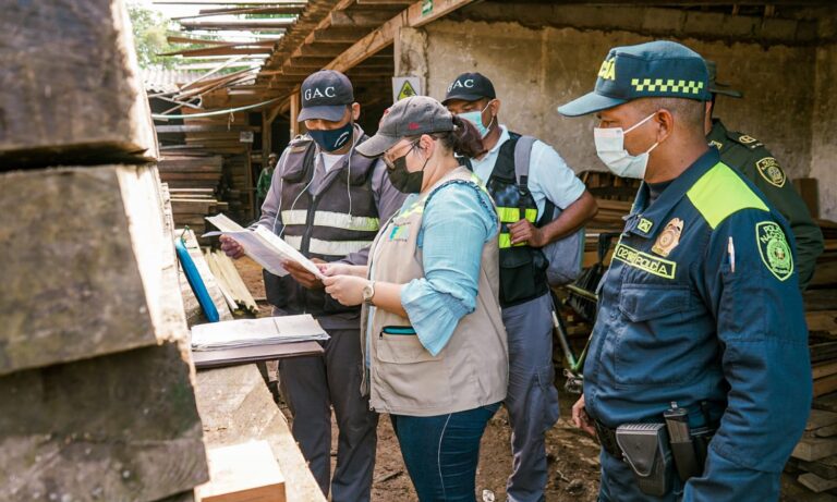Funcionarios realizando operativos en contra del tráfico de madera