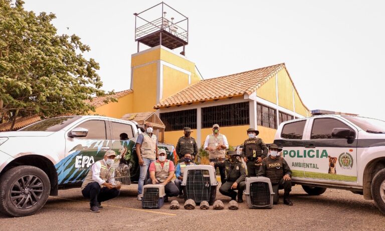 EPA Cartagena, Policía ambiental y la Guardia Ambiental en campaña operación libertad de animales silvestres en cautiverio