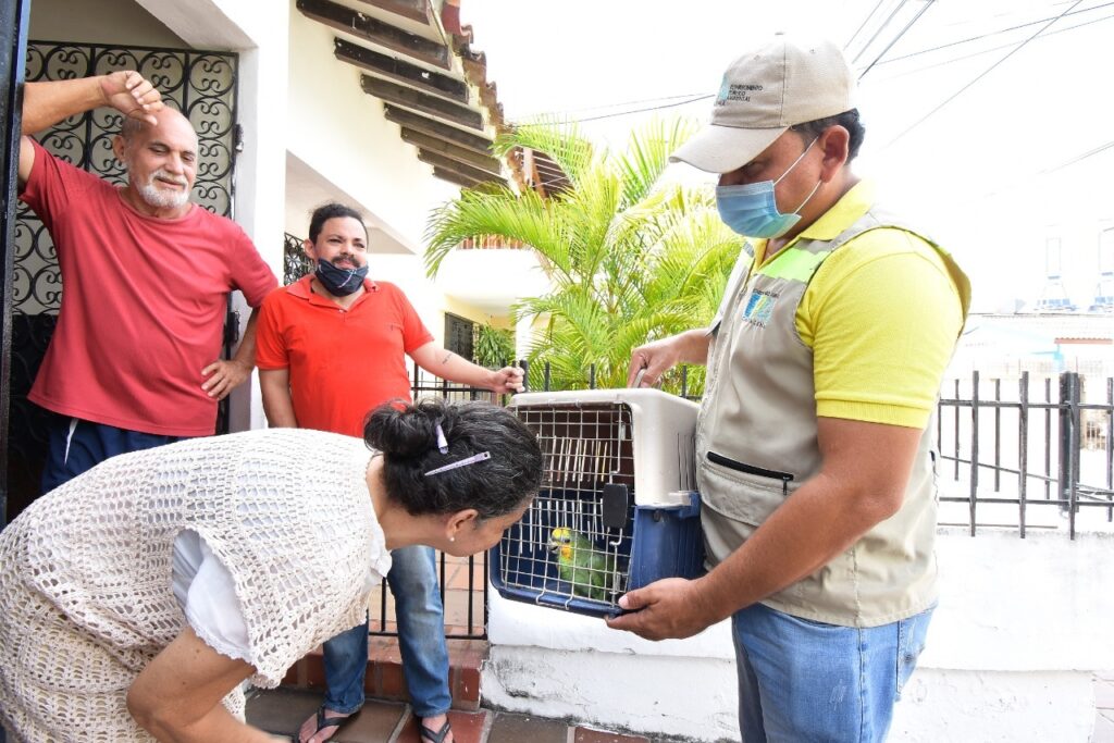 EPA Cartagena, Policía ambiental y la Guardia Ambiental en campaña operación libertad de animales silvestres en cautiverio