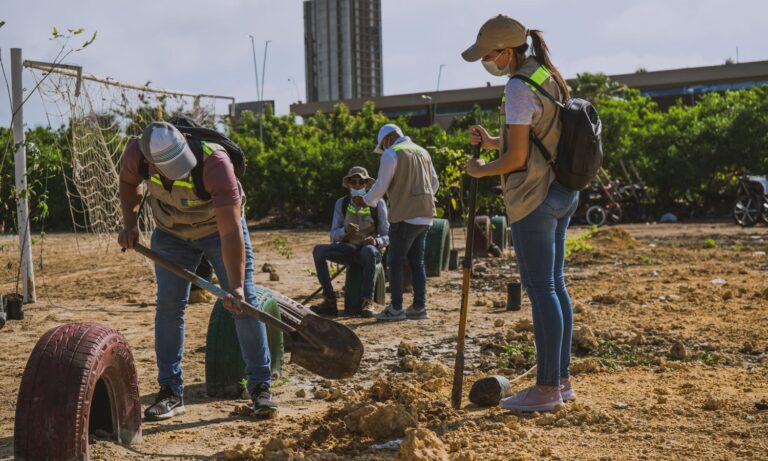 funcionarios del epa sembrando plantas en sector Chambacú