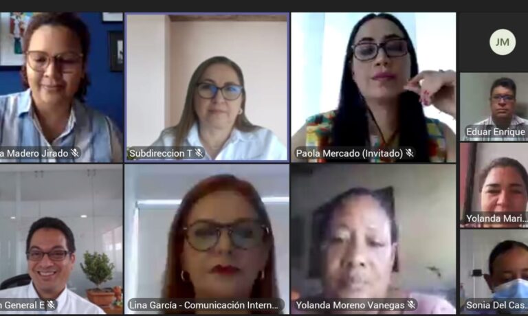 pantallazo de funcionarios y comunidad que participaron de manera virtual en evento de presentación oficial sobre barrio sostenible