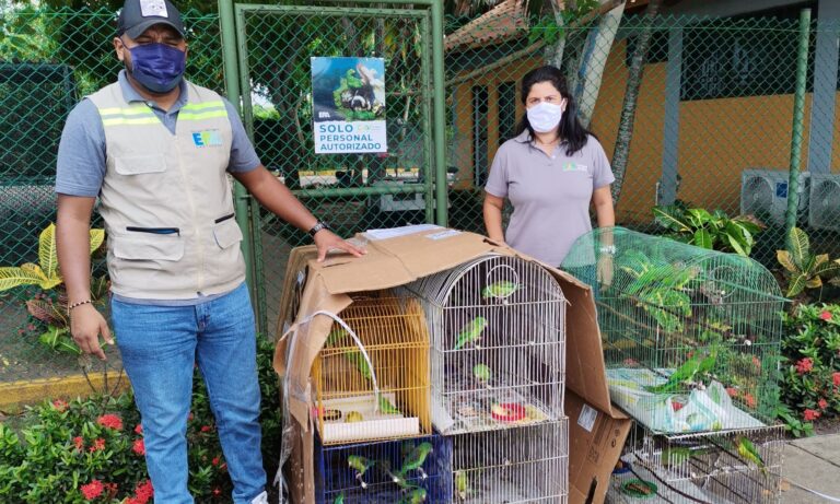 funcionarios con aves en jaulas