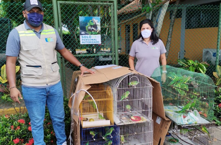El EPA Cartagena recibe aves silvestre decomisadas en Bogotá