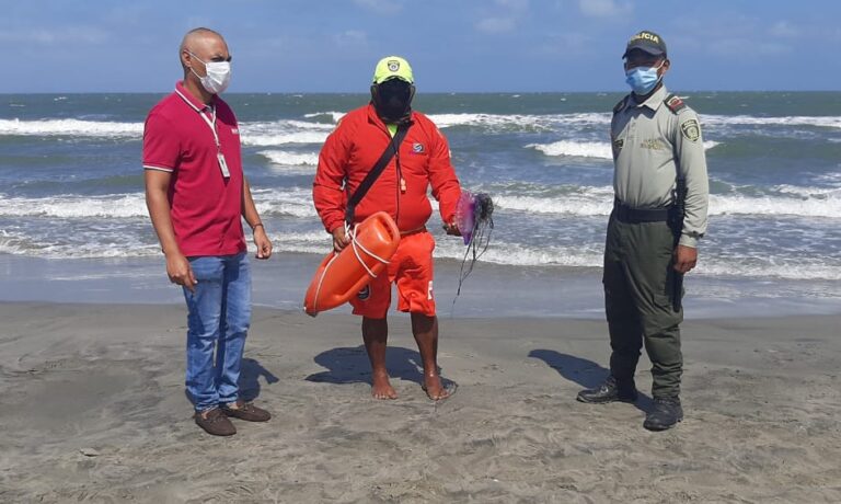 funcionarios en playa, inspeccionando aparición de fragata portuguesa
