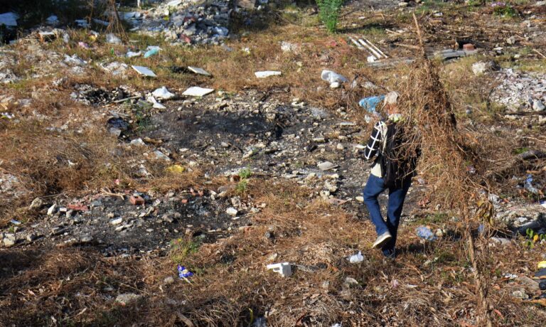 funcionario inspeccionando quema de árboles
