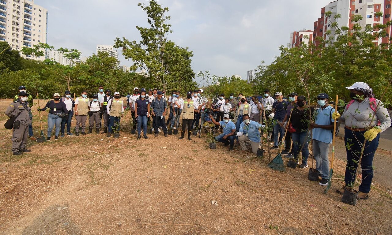 fotografía del equipo de funcionarios y ecobloque en siembra de árboles
