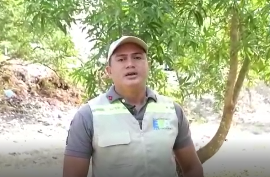EPA inicia recuperación de zona verde afectada en Las Gaviotas