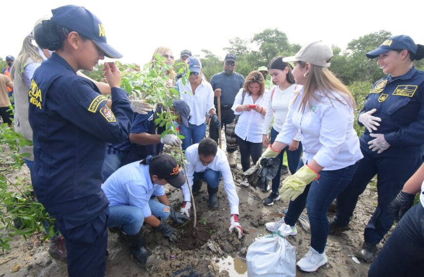 Con nuevos árboles, recuperan zonas desoladas en Cartagena