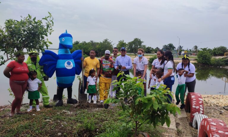 57 mil nuevos árboles se han sembrado durante administración de Salvemos Juntos  a Cartagena.