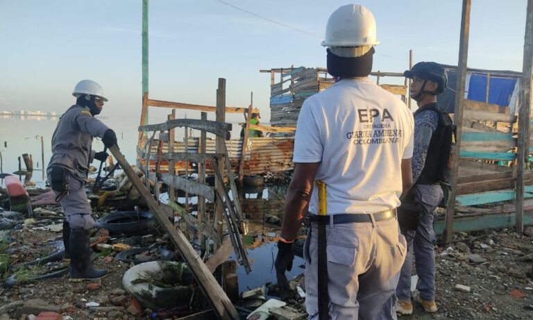 Funcionarios en desmonte y recuperación de zonas degradadas en ciénaga de la Virgen