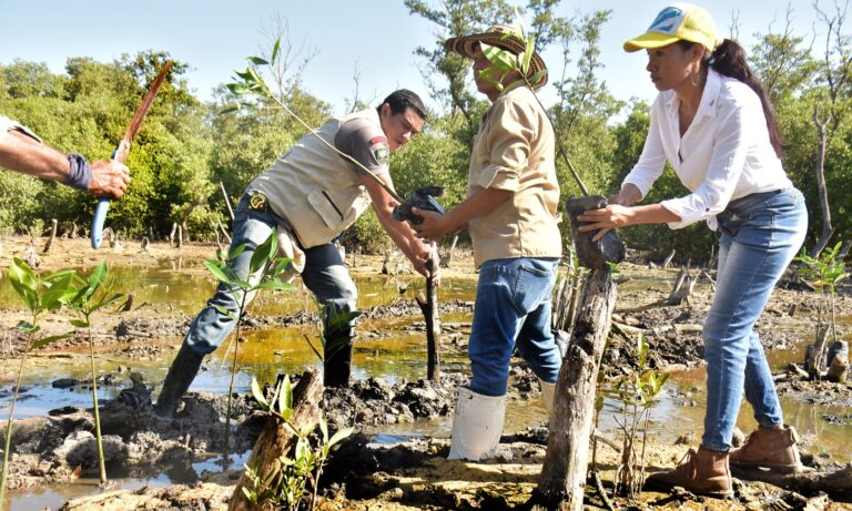 Funcionarios y comunidad en reforestación y restauración ecológica de zonas degradadas y contaminadas en la ciénaga de la Virgen