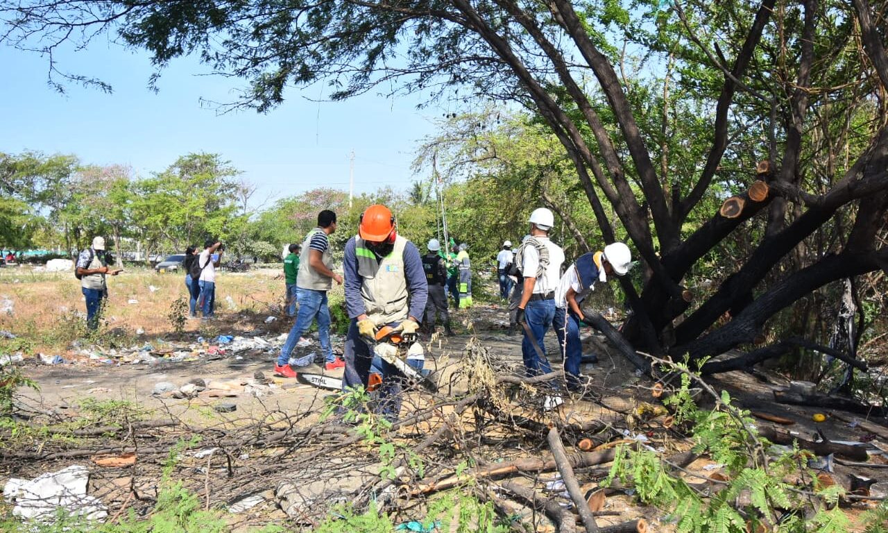 Fotografía de funcionarios en recuperación de zona degradada en chambacú