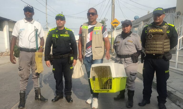Fotografía de funcionarios y oso hormiguero rescatado