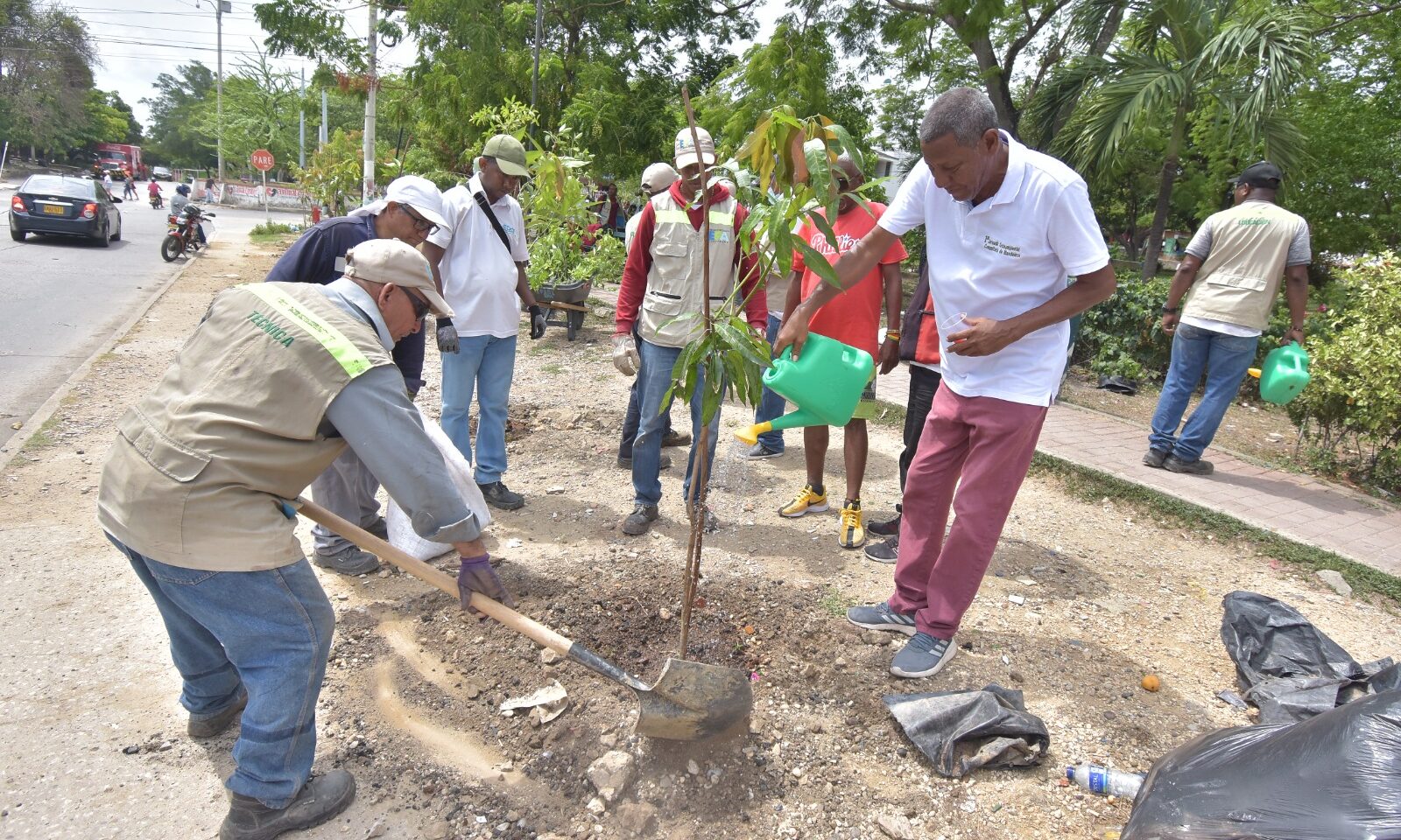 Funcionarios y comunidad en siembra de árboles, en jornada de restauración de zonas verdes