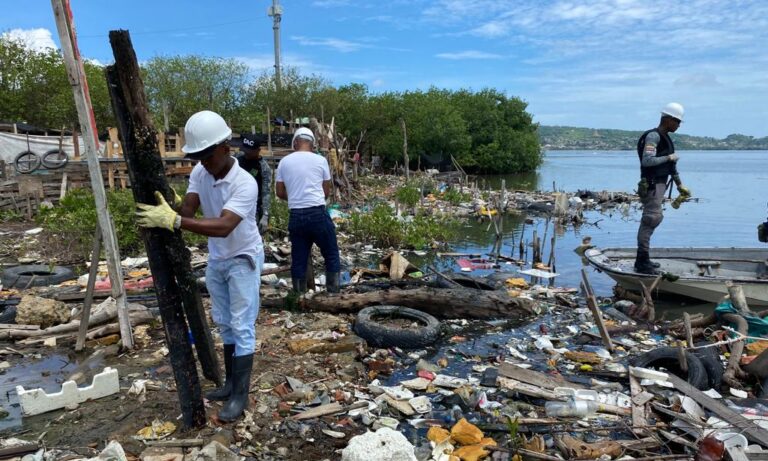 Funcionarios, en recuperación de zona degradada, ciénaga de la virgen