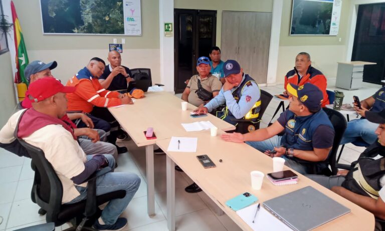 Funcionarios reunidos coordinando elaboración de protocolo para atención de casos de abejas