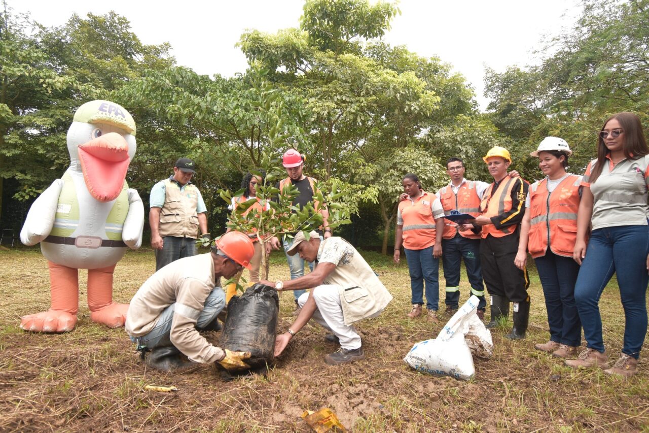 Funcionarios en campaña de siembra de árboles