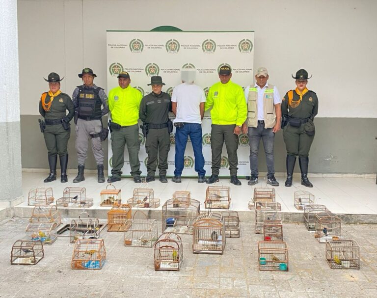 DECOMISAN AVES EN OPERATIVOS CONJUNTOS PARA FRENAR SU TRÁFICO