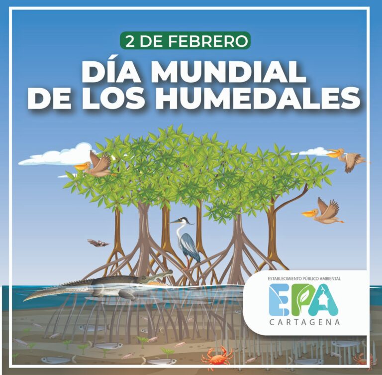 DIA MUNDIAL DE LOS HUMEDALES