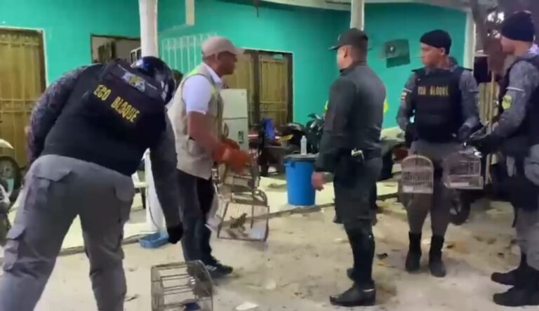 DECOMISAN AVES EN OPERATIVOS CONJUNTOS PARA FRENAR SU TRÁFICO.