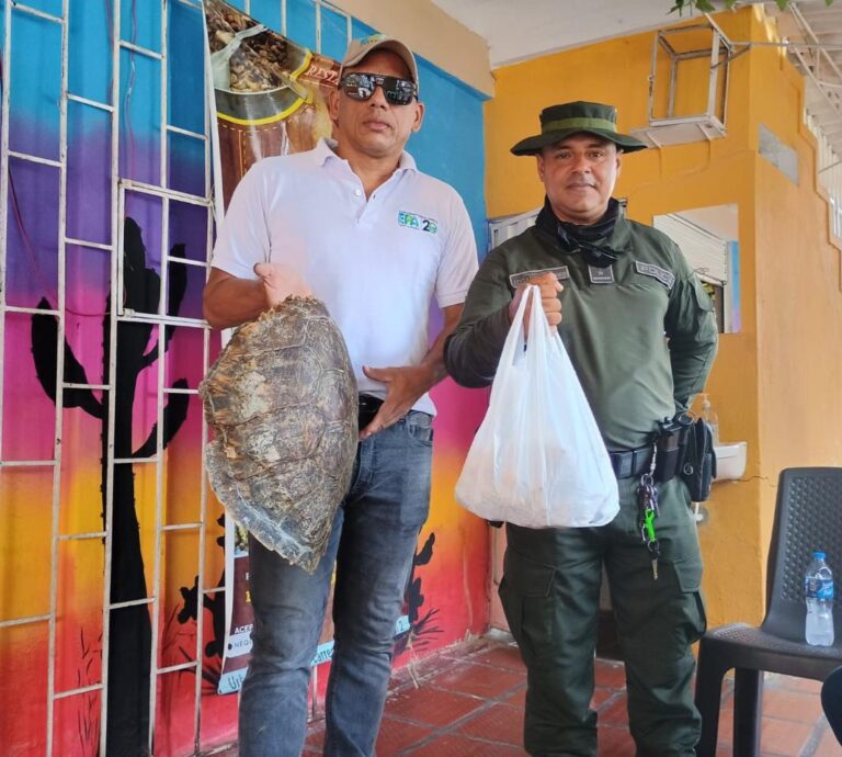 EPA CARTAGENA Y POLICÍA AMBIENTAL DECOMISAN CARNE DE IGUANA EN RESTAURANTE UBICADO EN EL BARRIO SAN FERNANDO