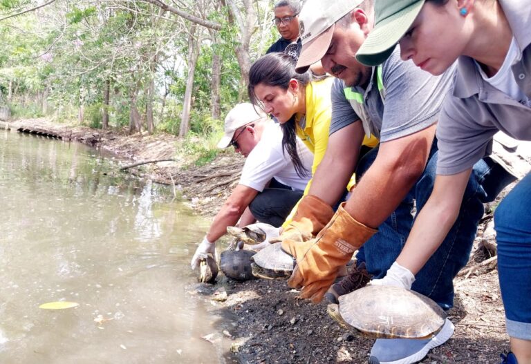 EPA CARTAGENA LIBERA 50 ANIMALES DURANTE CELEBRACIÓN DEL DÍA MUNDIAL DE LA VIDA SILVESTRE
